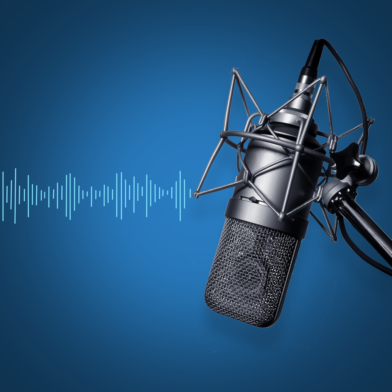 Voice Over